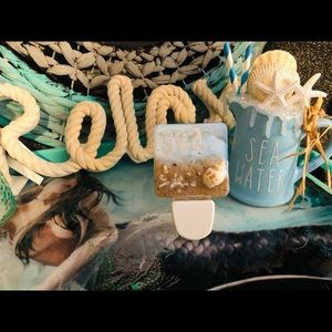 It’s a Sea Life Seashell Glazed Night Lite